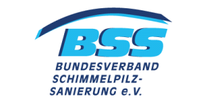 BSS Logo